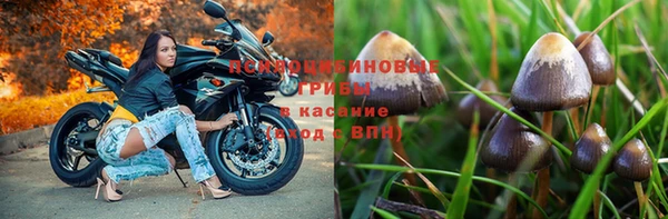 прущая мука Наволоки