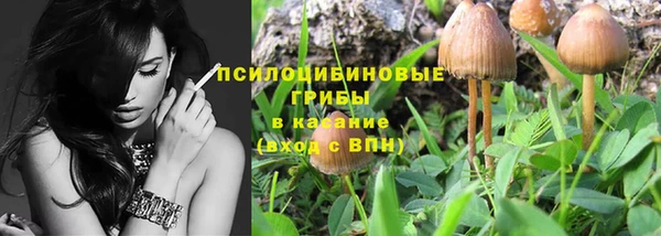 ПСИЛОЦИБИНОВЫЕ ГРИБЫ Надым